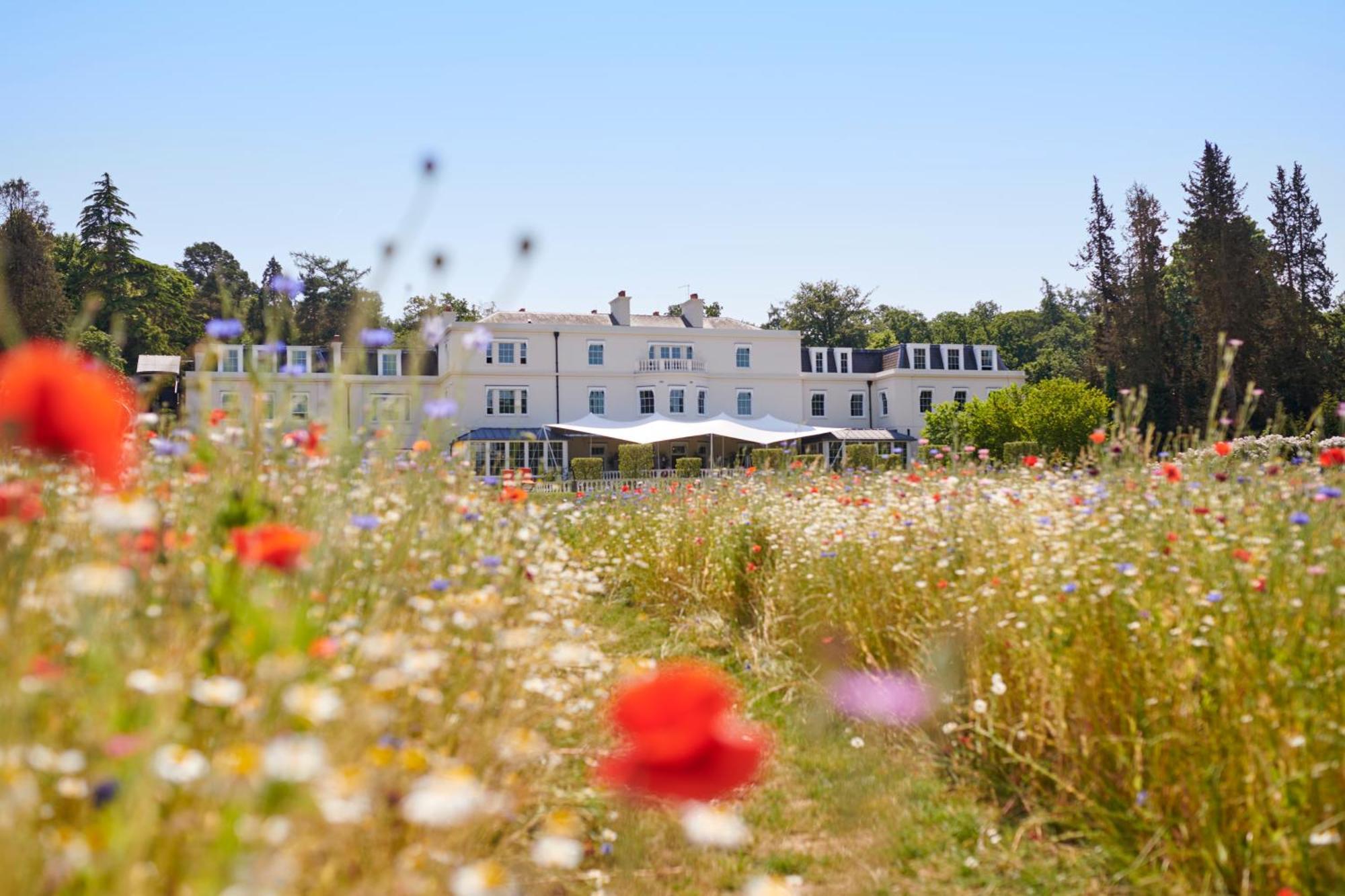Coworth Park - Dorchester Collection Аскот Экстерьер фото