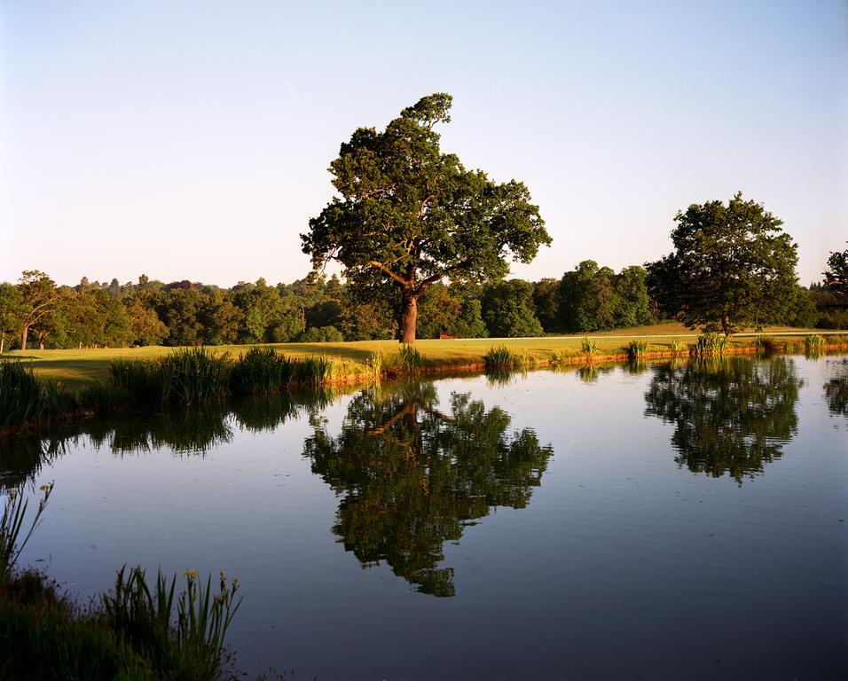 Отель Coworth Park - Dorchester Collection Аскот Экстерьер фото